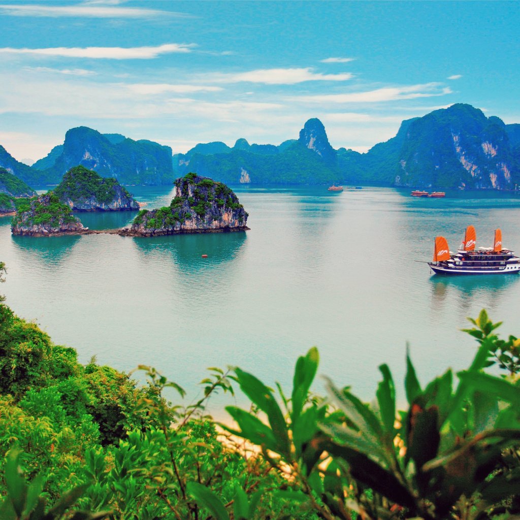 Обои море, тропики, вьетнам, халонг, sea, tropics, vietnam, halong разрешение 2497x1992 Загрузить