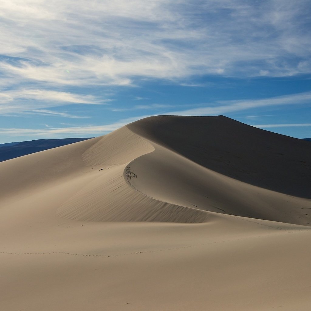 Обои человек идет по пустыне, people going through the desert разрешение 2560x1440 Загрузить