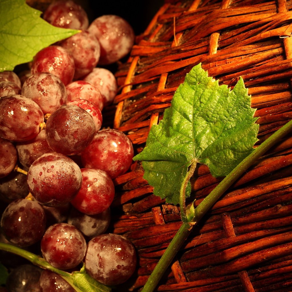 Обои листья, виноград, корзина, ягоды, лоза, корзинка, виноград красный, leaves, grapes, basket, berries, vine, grape red разрешение 2560x1600 Загрузить