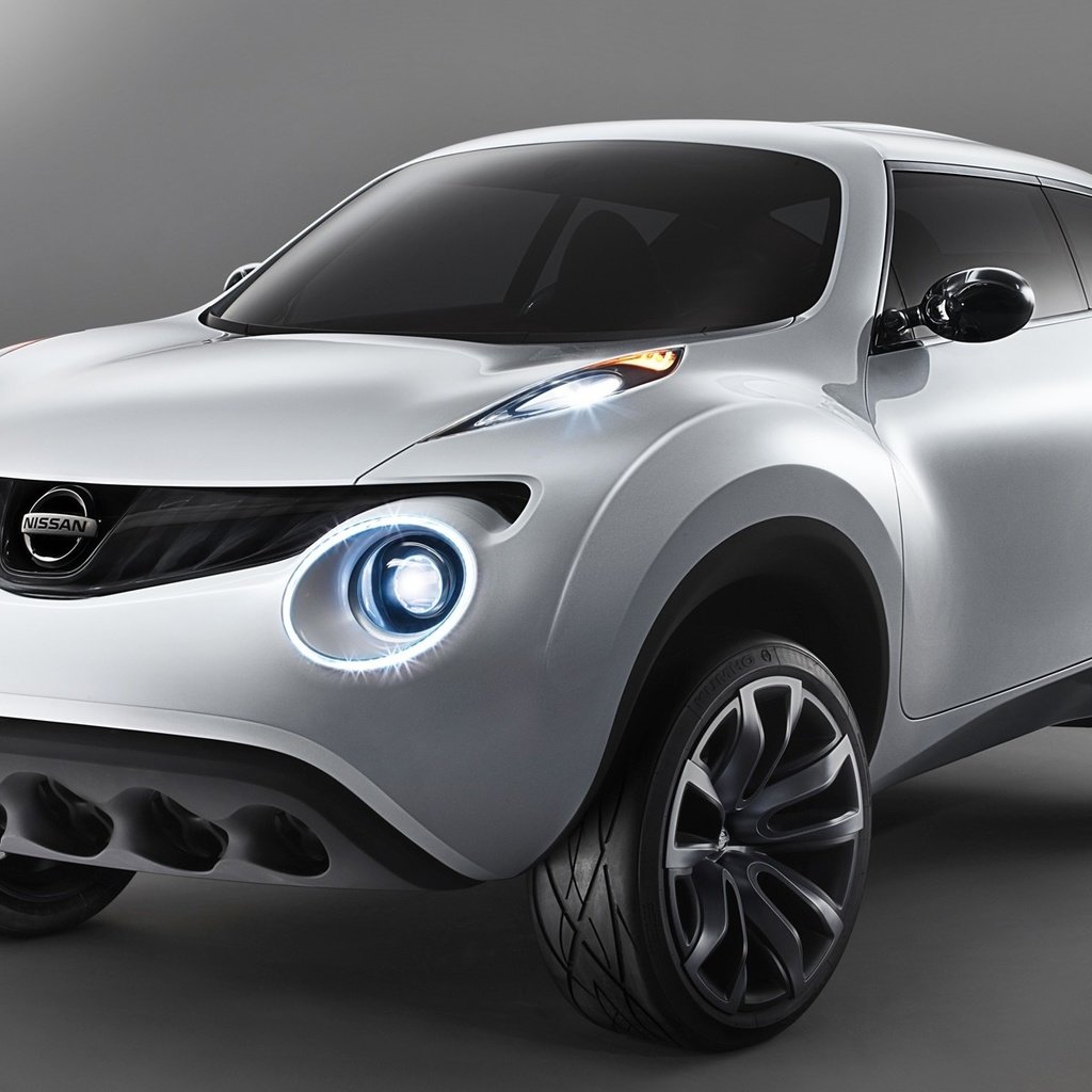 Nissan Juke 2009