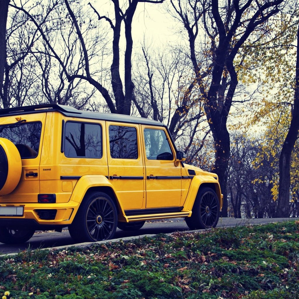 Обои желтый, осень, внедорожник, мерседес, мерседес бенц, g63, mansory gronos, yellow, autumn, suv, mercedes, mercedes benz разрешение 1920x1080 Загрузить