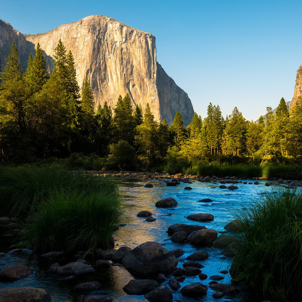 Обои горы, лес, панорамма, йосемитский национальный парк, mountains, forest, panorama, yosemite national park разрешение 1920x1080 Загрузить