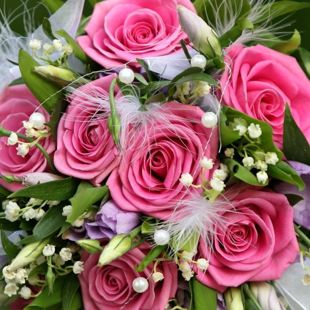 Обои цветы, цветок, розы, девушки, розовые, нежные, красивые, - вам подарок, flowers, flower, roses, girls, pink, gentle, beautiful, you gift разрешение 1920x1080 Загрузить