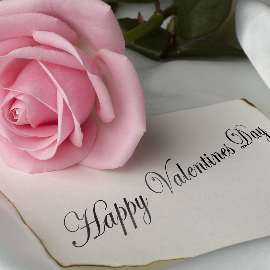 Обои роза, романтик, мелодрама,  цветы, happy valentines day, хорошенькая, пинк, rose, romantic, romance, flowers, pretty, pink разрешение 2560x1600 Загрузить