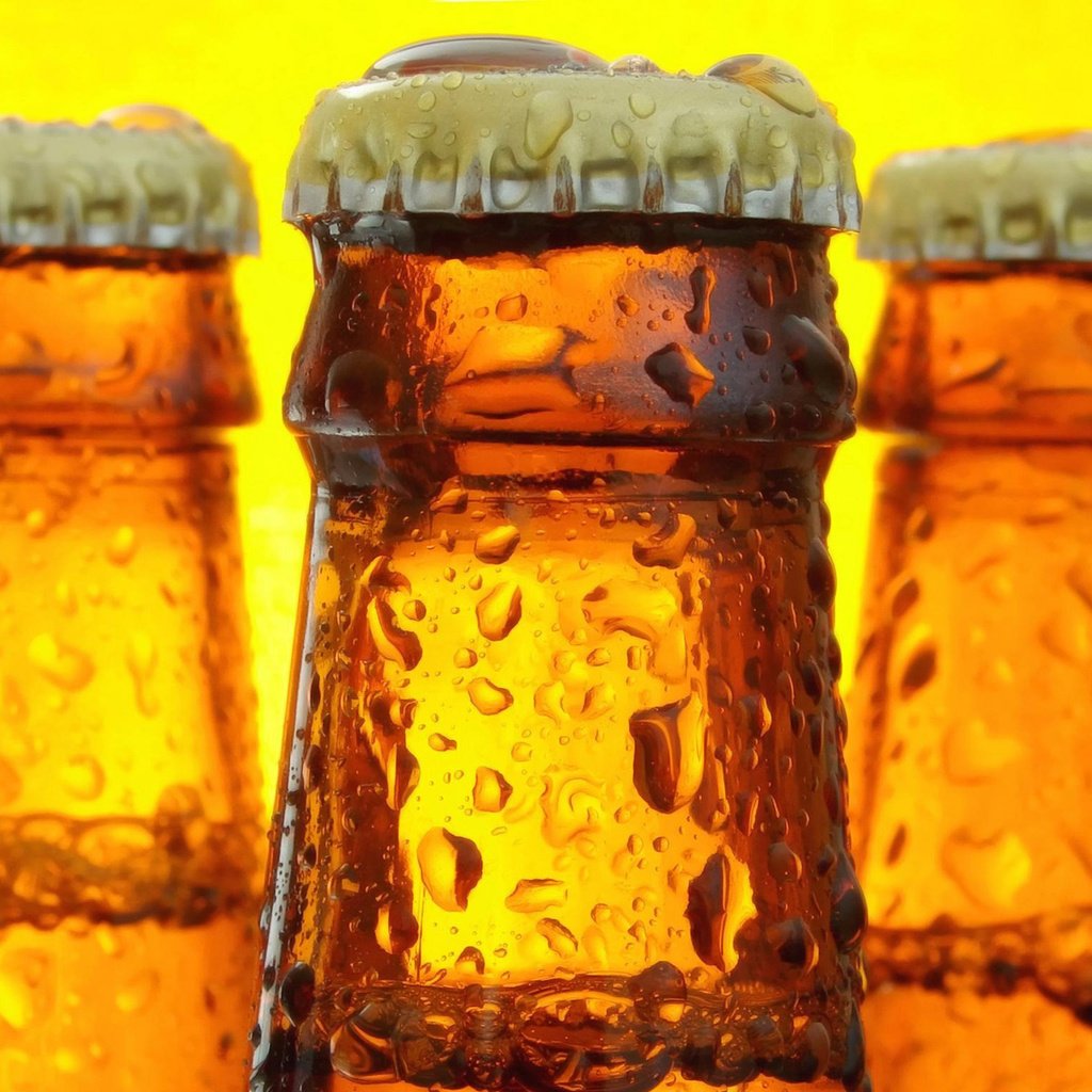 Обои капли, пиво, бутылки, жидкая, крышка, beer bottles, cтекло, drops, beer, bottle, liquid, cover, glass разрешение 1920x1200 Загрузить