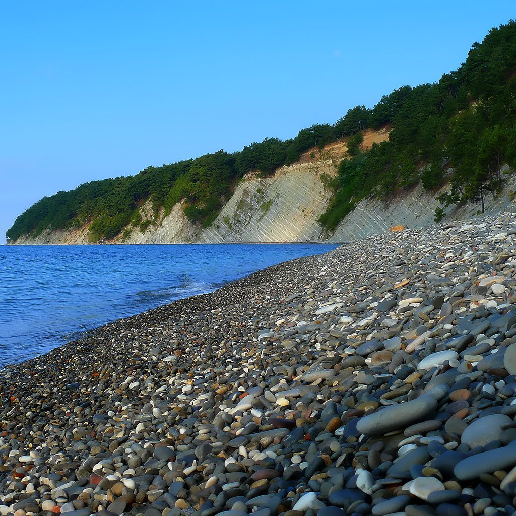 Обои камни, море, пляж, кусты, stones, sea, beach, the bushes разрешение 1920x1200 Загрузить