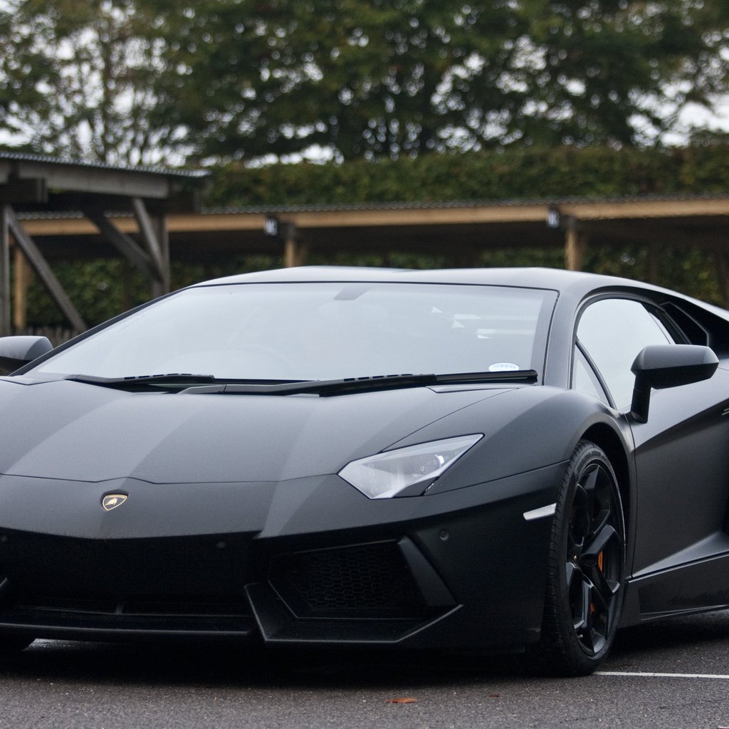 Обои черный, блака, ламборгини, авентадор, black, lamborghini, aventador разрешение 3567x2313 Загрузить