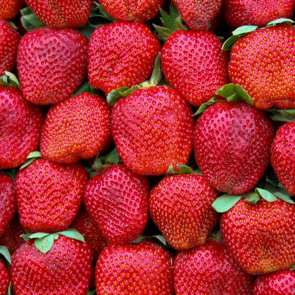 Обои узор, краcный, земляника, грин, pattern, red, strawberries, green разрешение 2880x1800 Загрузить