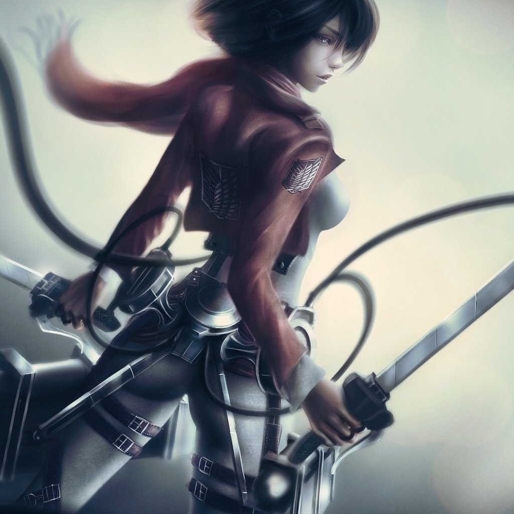 Обои арт, mikasa ackerman, shingeki no kyojin, attack on titan, вторжение титанов, art, the invasion of the titans разрешение 1920x1200 Загрузить