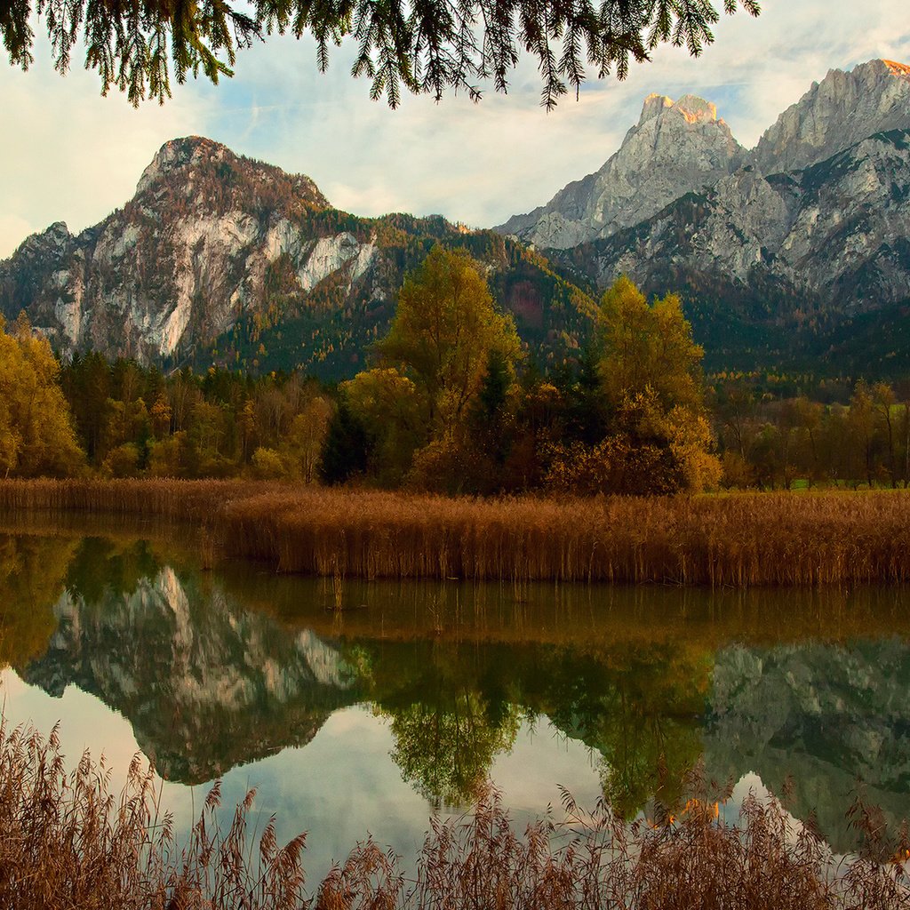 Обои река, горы, природа, лес, осень, river, mountains, nature, forest, autumn разрешение 1920x1200 Загрузить