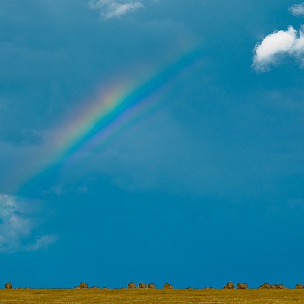 Обои небо, облака, поле, радуга, тюки, прессованное сено, the sky, clouds, field, rainbow, bales, baled hay разрешение 2880x1800 Загрузить