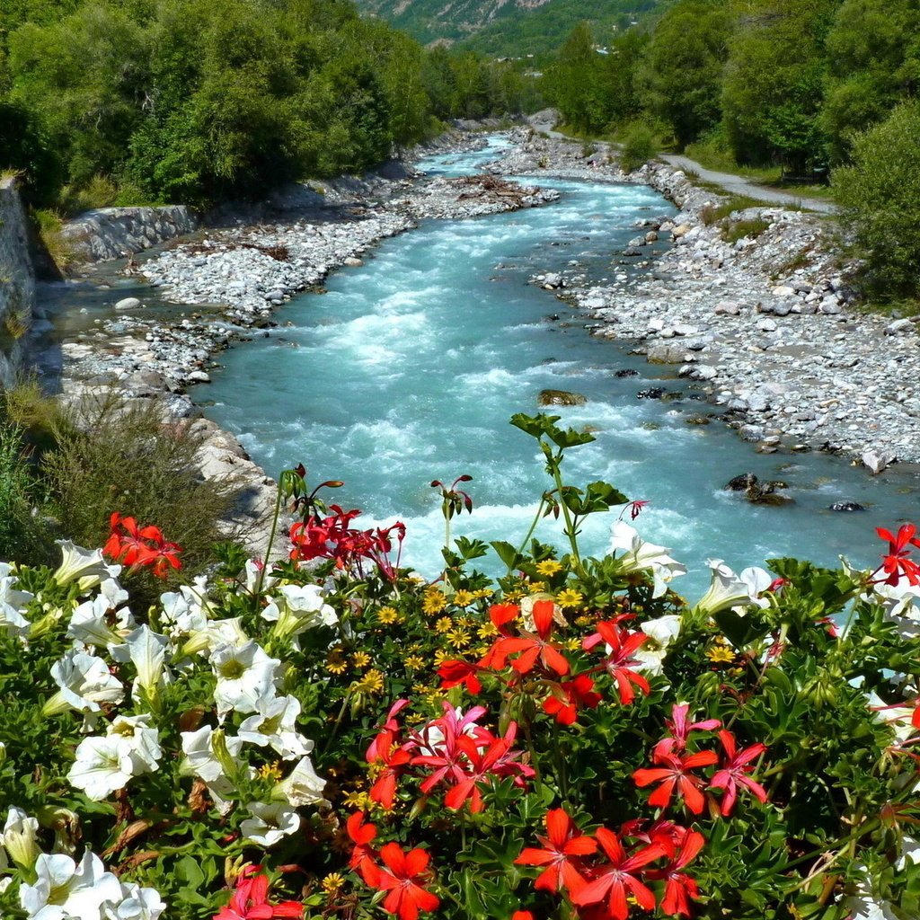 Горы река цветы
