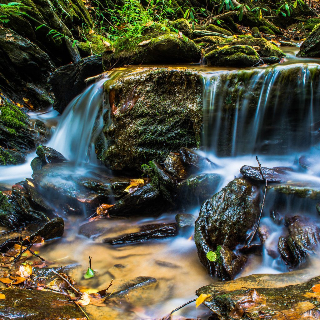 Обои вода, камни, ручей, мох, скал, ландшафт, на природе, water, stones, stream, moss, rocks, landscape, nature разрешение 1920x1200 Загрузить