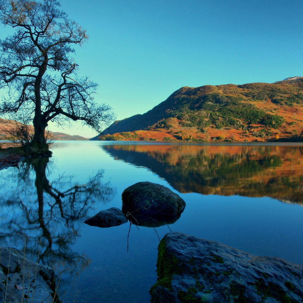 Обои озеро, холмы, дерево, камни, lake, hills, tree, stones разрешение 1920x1200 Загрузить