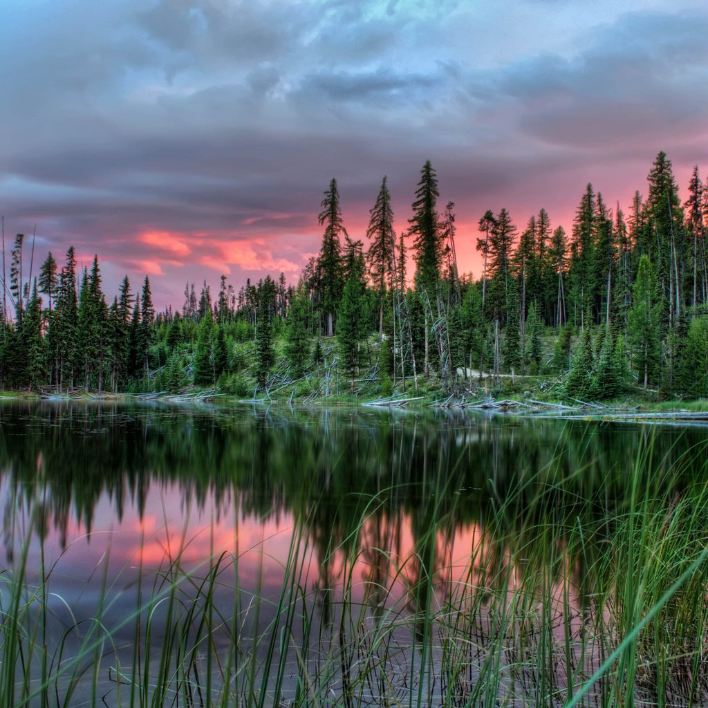 Обои деревья, озеро, закат, пейзаж, канада, провинция альберта, trees, lake, sunset, landscape, canada, alberta разрешение 2560x1600 Загрузить