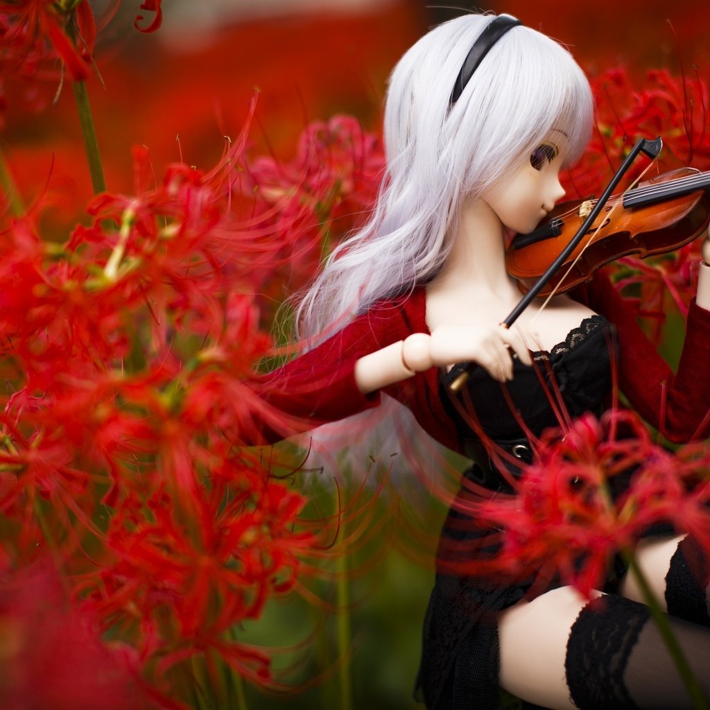 Обои цветы, скрипка, кукла, flowers, violin, doll разрешение 3200x2133 Загрузить