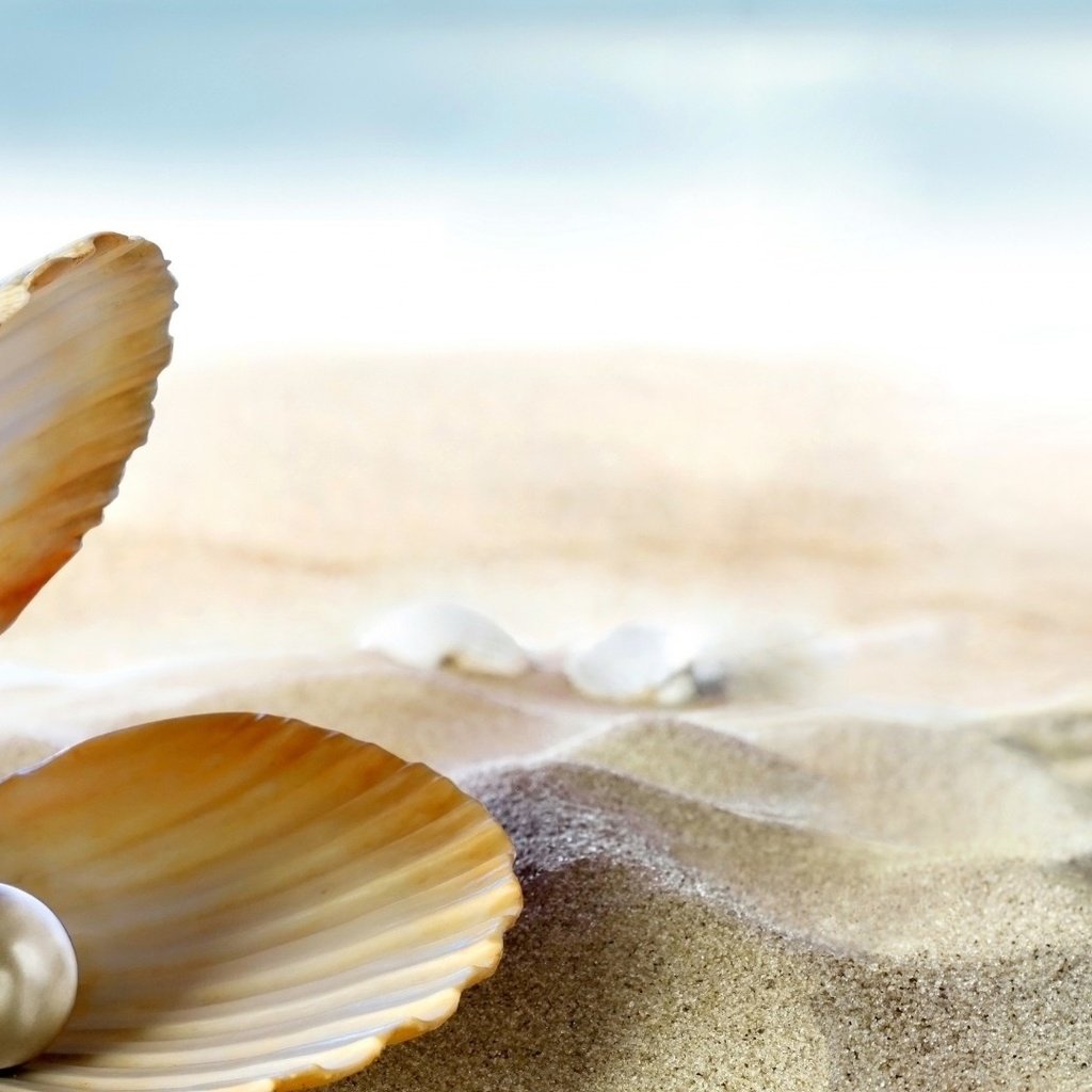 Обои на песке, раковина жемчужница, жемчужина, on the sand, shell pearl, pearl разрешение 1920x1080 Загрузить