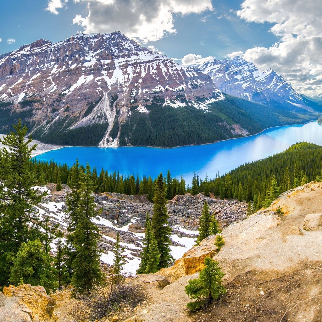 Обои канада, национальный парк банф, peyto lake, ab, canada, banff national park разрешение 2560x1600 Загрузить