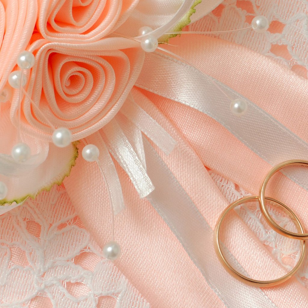 Обои цветы, макро, свадьба, бант, обручальные кольца, flowers, macro, wedding, bow, engagement rings разрешение 1920x1200 Загрузить
