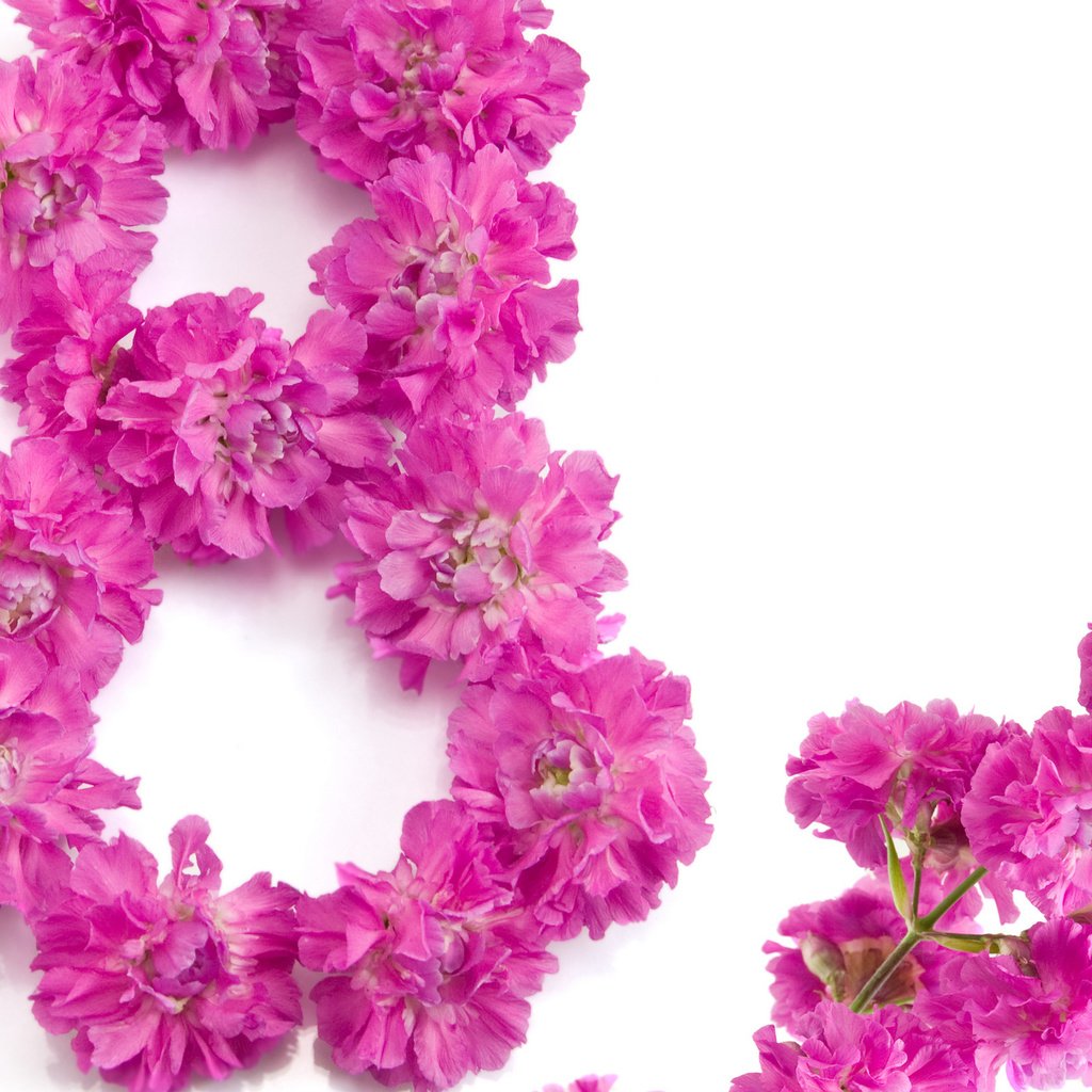 Обои цветы, 8 марта, международный женский день, flowers, march 8, international women's day разрешение 2560x1600 Загрузить