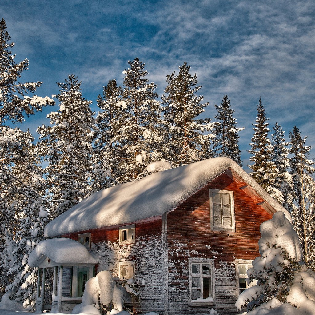 Обои деревья, снег, зима, дом, елки, старый, trees, snow, winter, house, tree, old разрешение 1920x1200 Загрузить