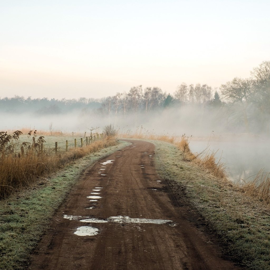 Обои дорога, река, природа, пейзаж, утро, туман, road, river, nature, landscape, morning, fog разрешение 2048x1365 Загрузить