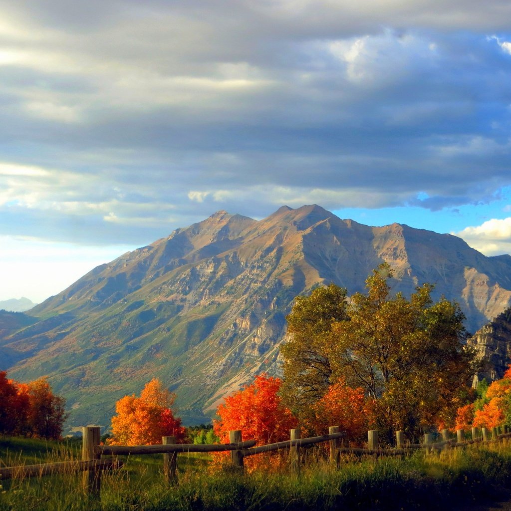 Обои деревья, горы, скалы, лес, осень, забор, trees, mountains, rocks, forest, autumn, the fence разрешение 4000x2822 Загрузить