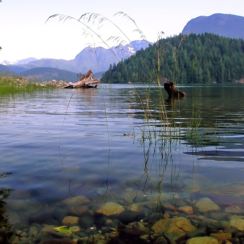 Обои вода, озеро, горы, холмы, озеро.холмы, water, lake, mountains, hills разрешение 1920x1080 Загрузить