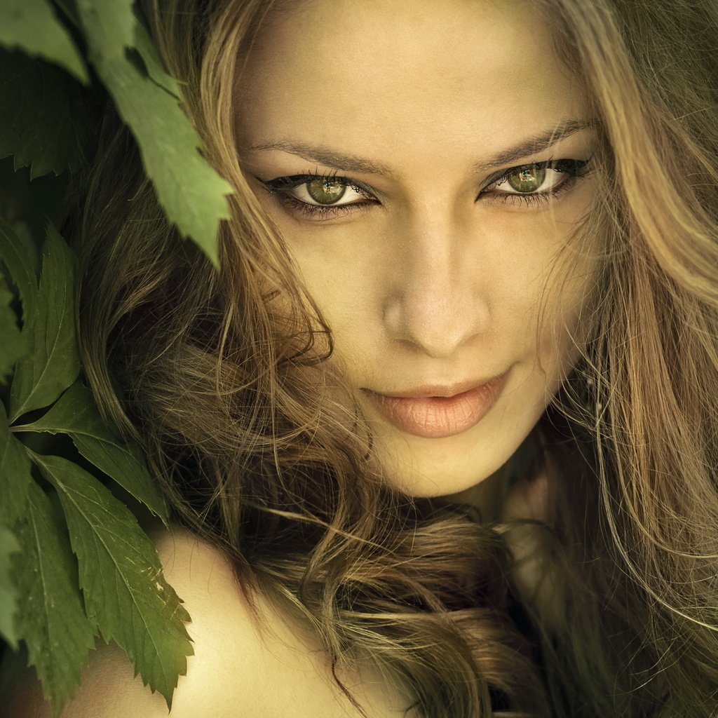 Обои глаза, природа, листья, девушка, взгляд, волосы, лицо, eyes, nature, leaves, girl, look, hair, face разрешение 2560x1600 Загрузить