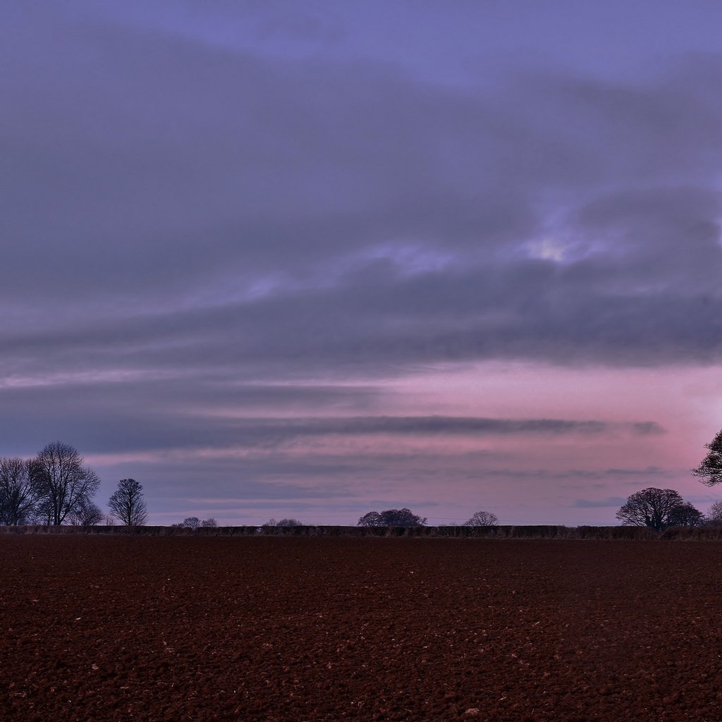 Обои небо, деревья, вечер, поле, the sky, trees, the evening, field разрешение 2048x1154 Загрузить