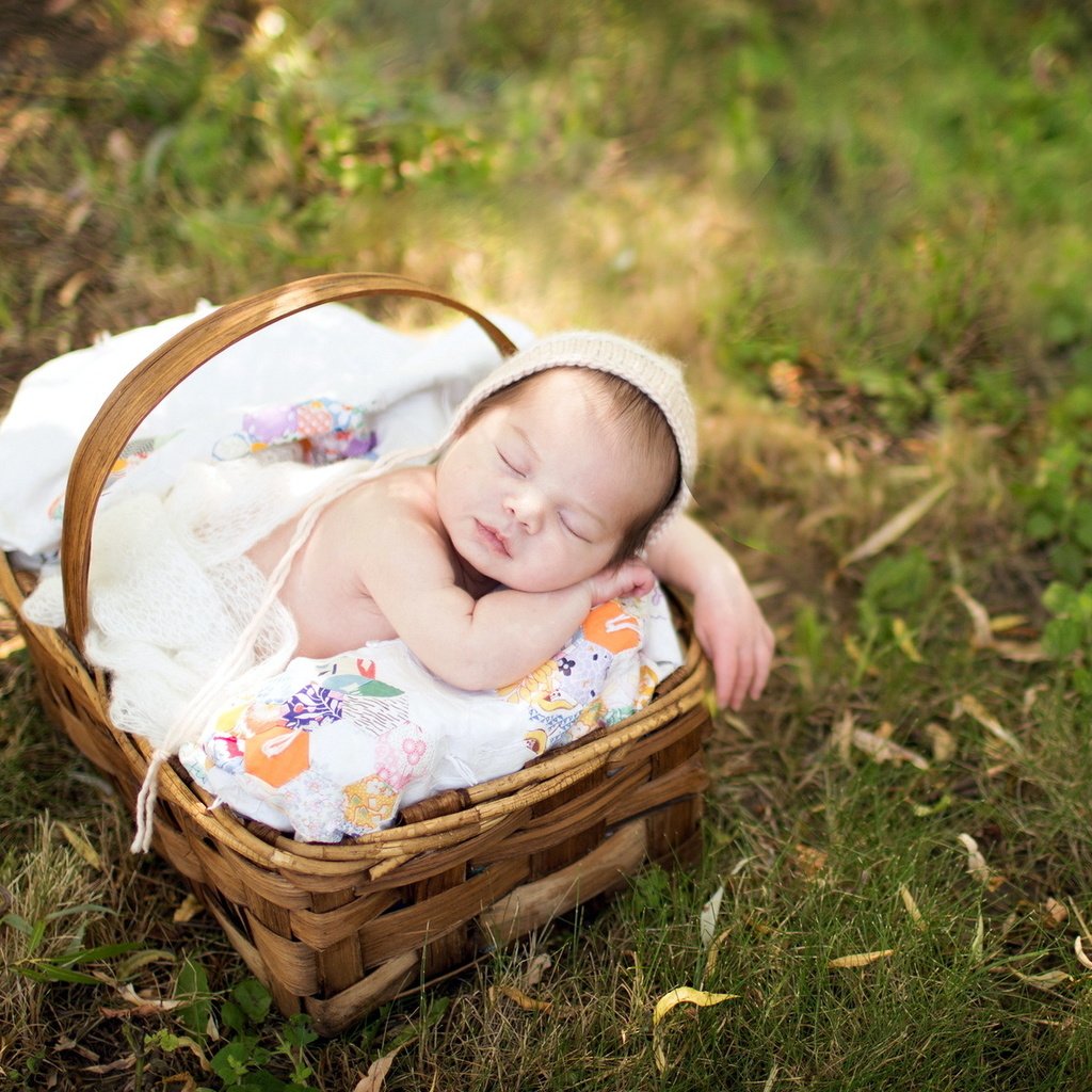 Обои природа, сон, корзина, ребенок, младенец, nature, sleep, basket, child, baby разрешение 1920x1200 Загрузить