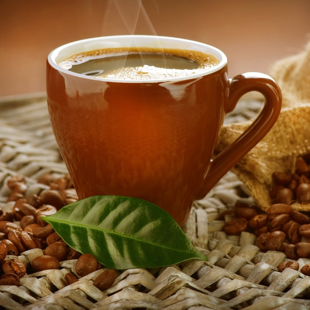 Обои зерна, кофе, чашка, кофейные, кофейные зерна, аромат, grain, coffee, cup, coffee beans, aroma разрешение 6182x4127 Загрузить