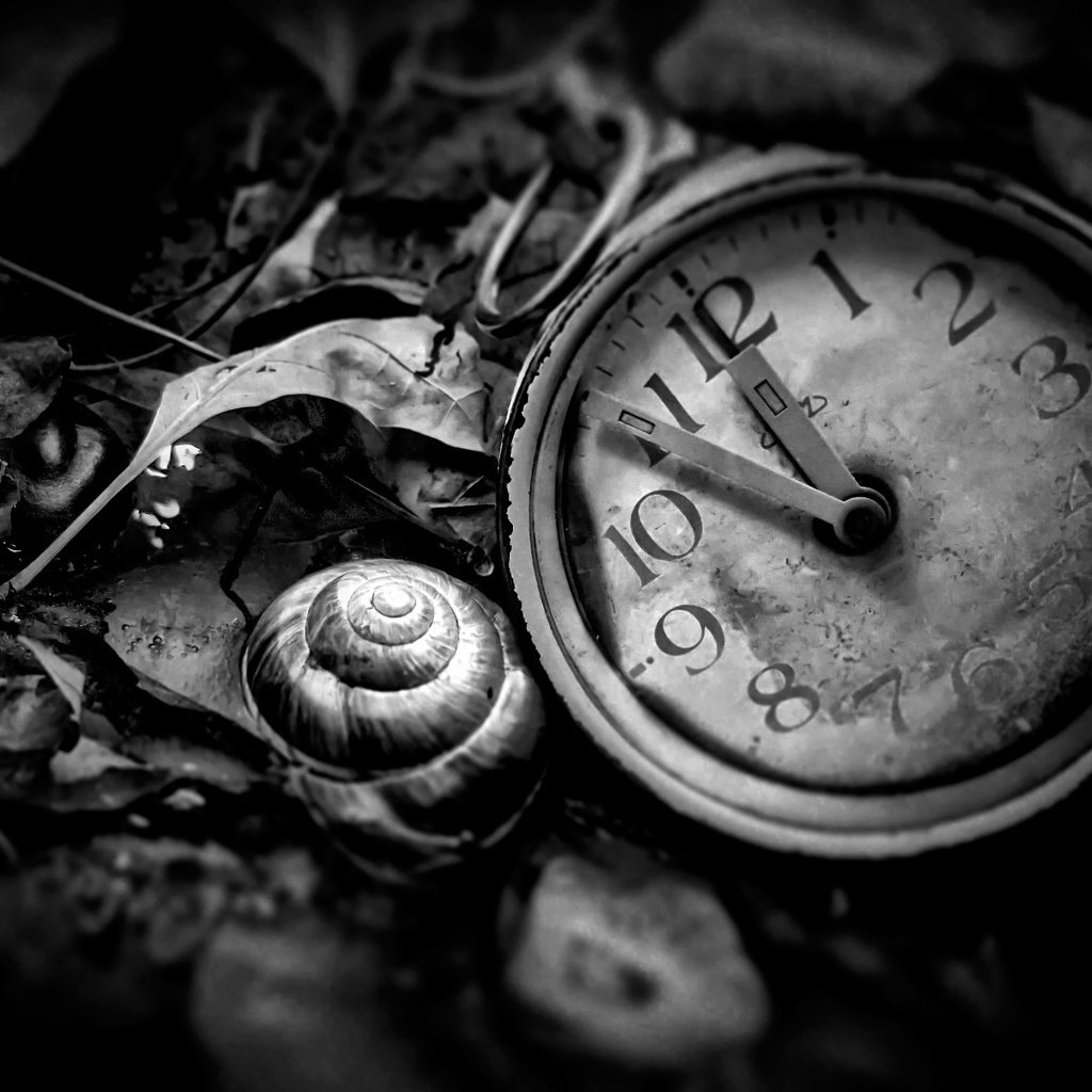 Обои чёрно-белое, часы, время, циферблат, black and white, watch, time, dial разрешение 2048x1366 Загрузить