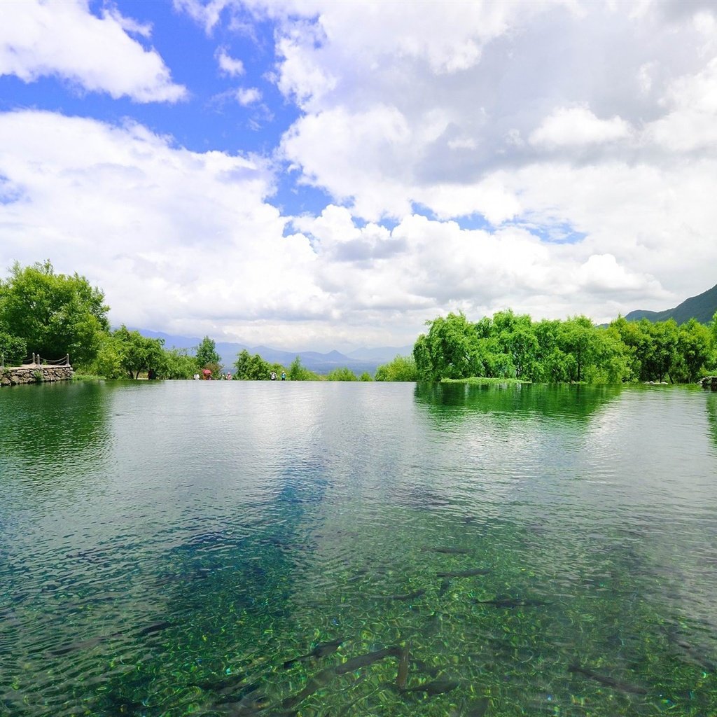 Обои небо, деревья, вода, пейзаж, the sky, trees, water, landscape разрешение 1920x1200 Загрузить