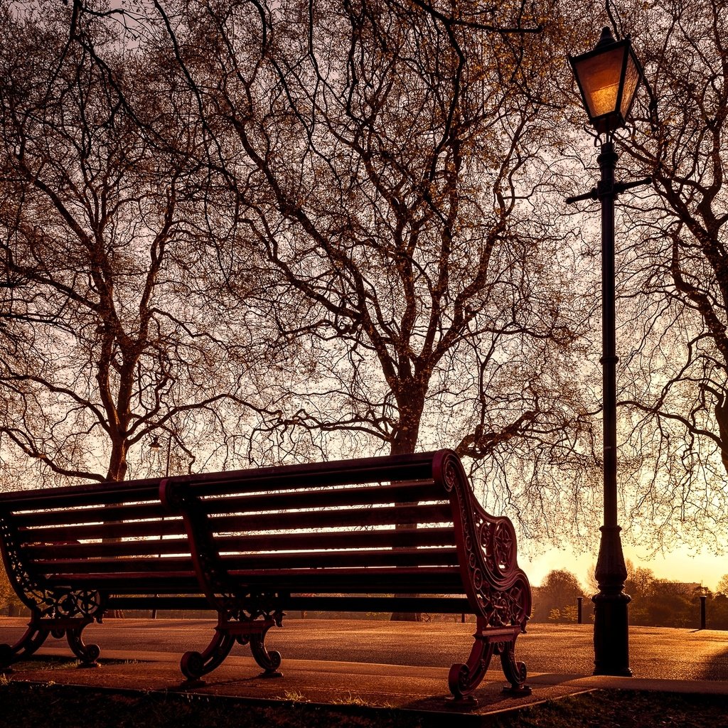 Обои деревья, парк, фонарь, скамейка, trees, park, lantern, bench разрешение 2048x1296 Загрузить