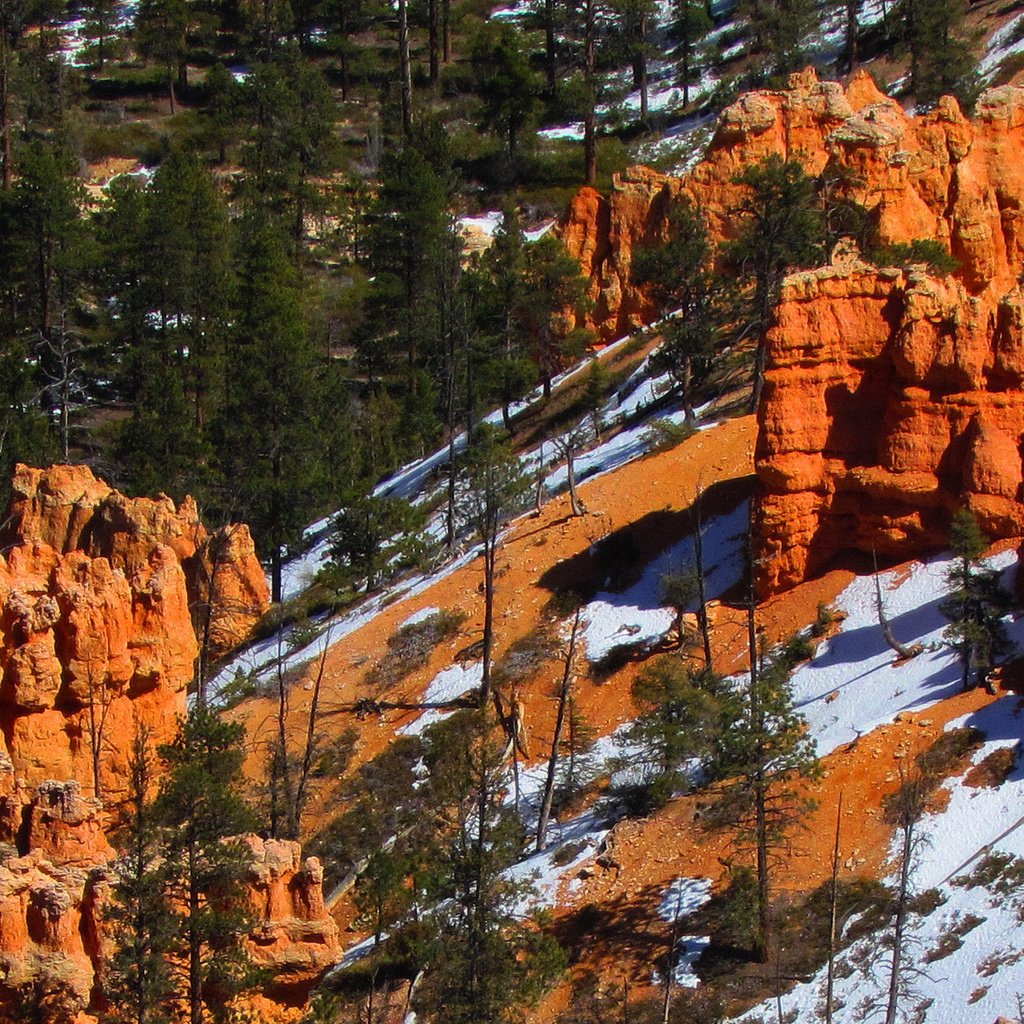 Обои деревья, скалы, снег, пейзаж, каньон, сша, штат юта, trees, rocks, snow, landscape, canyon, usa, utah разрешение 2048x1141 Загрузить