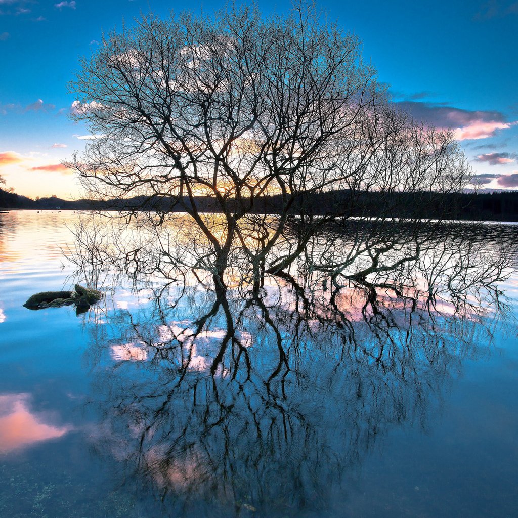 Обои деревья, озеро, лес, закат, отражение, trees, lake, forest, sunset, reflection разрешение 1920x1200 Загрузить