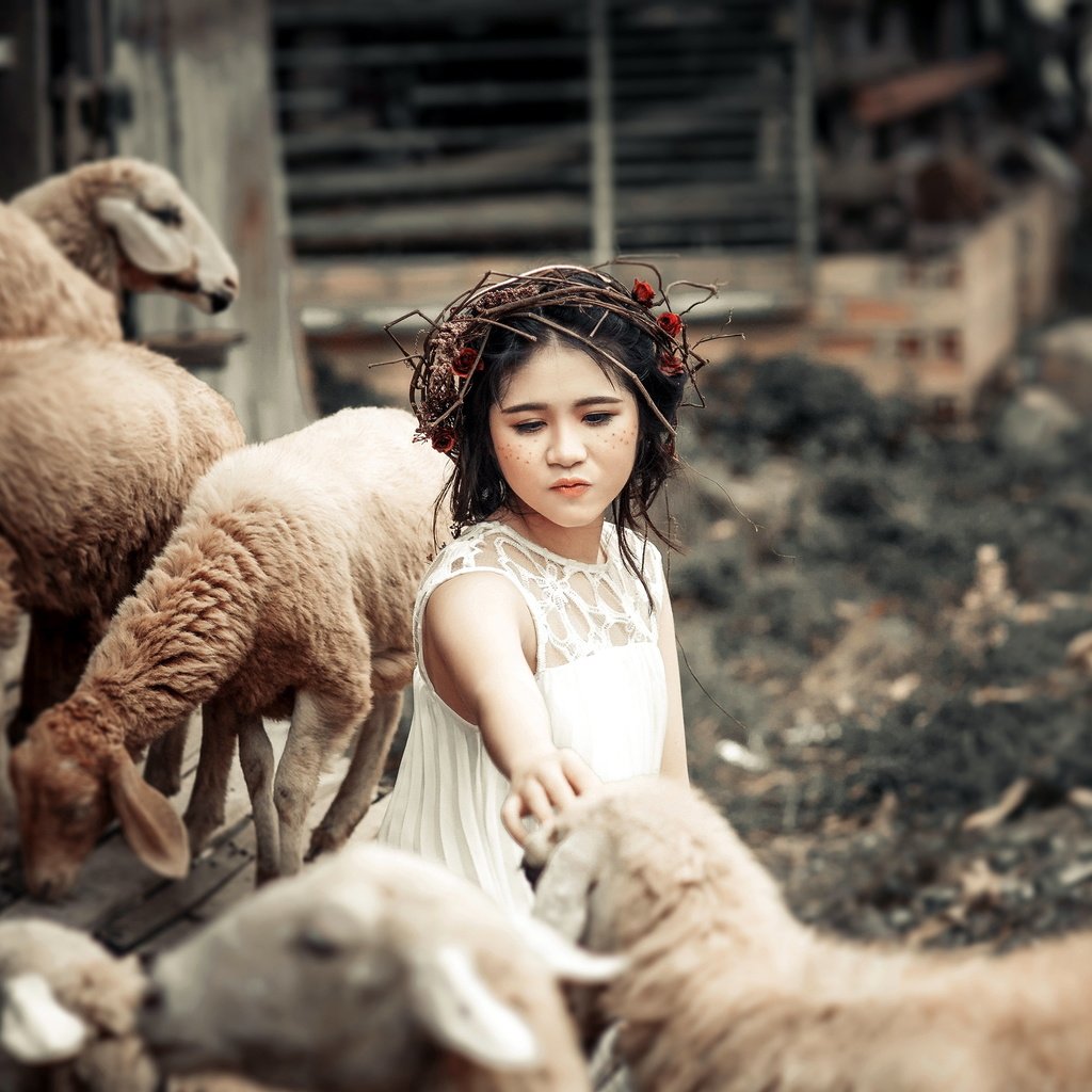 Обои животные, дети, девочка, забота, овцы, венок, animals, children, girl, care, sheep, wreath разрешение 3681x2318 Загрузить