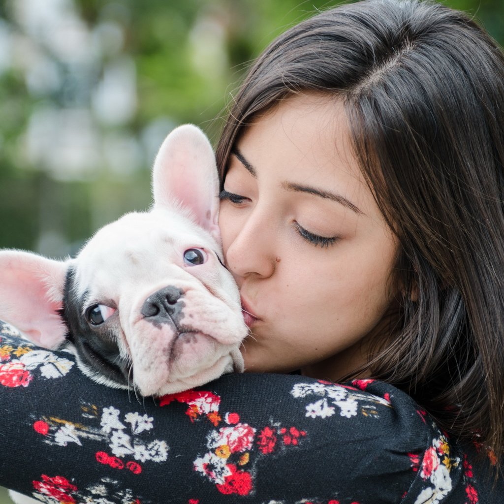 Обои девушка, собака, дружба, французский бульдог, girl, dog, friendship, french bulldog разрешение 2560x1600 Загрузить