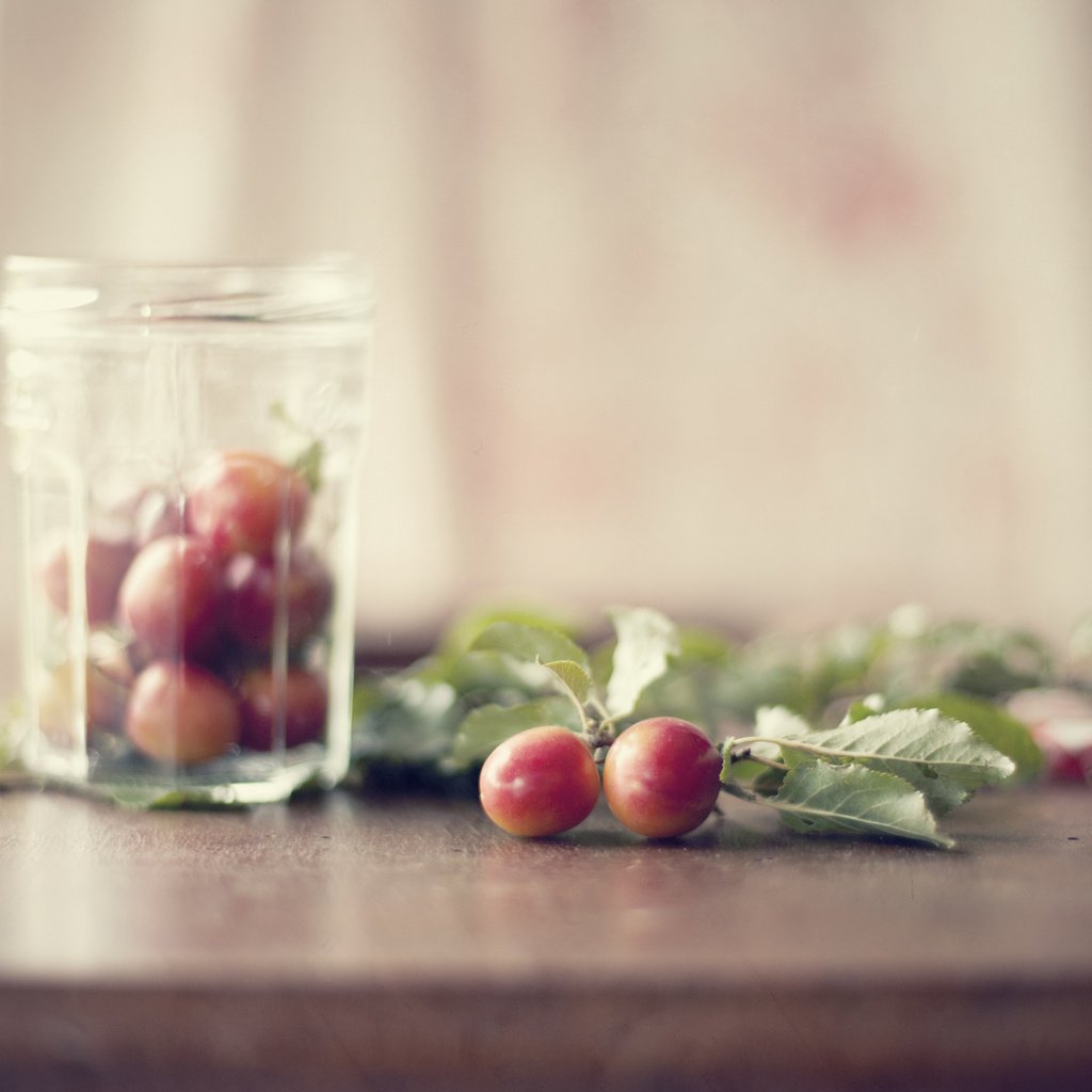 Обои листья, стол, банка, алыча, слива, leaves, table, bank, plum, drain разрешение 2048x1365 Загрузить