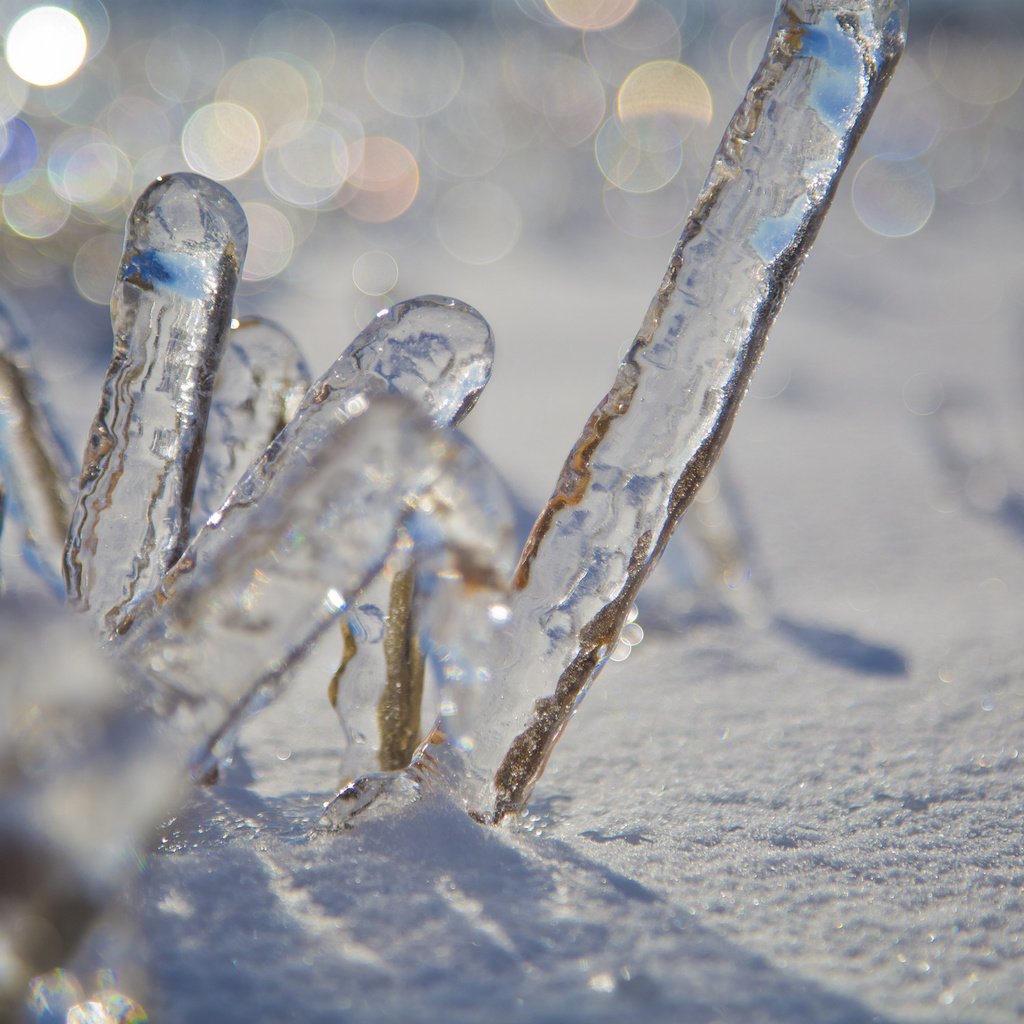 Обои снег, зима, макро, лёд, боке, snow, winter, macro, ice, bokeh разрешение 2048x1365 Загрузить