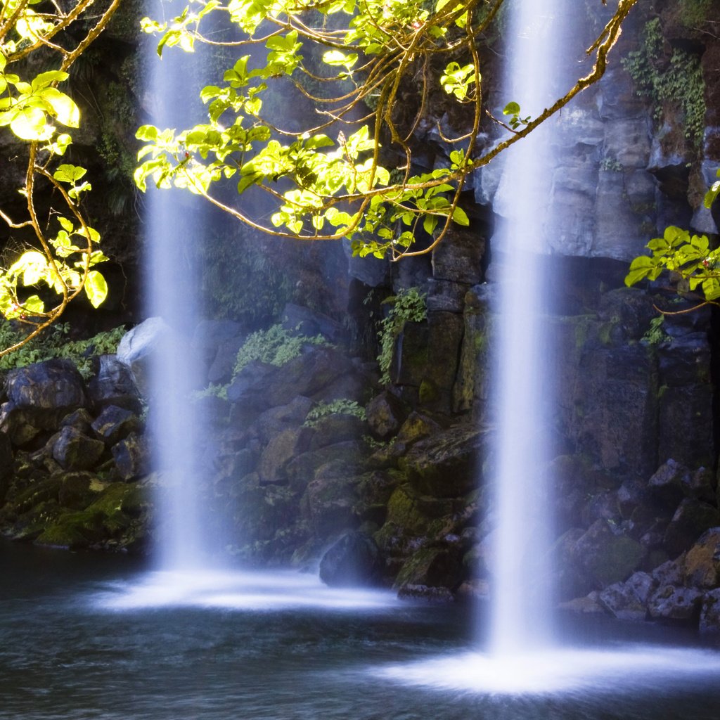 Обои свет, вода, скалы, камни, ветки, водопад, light, water, rocks, stones, branches, waterfall разрешение 3672x2537 Загрузить