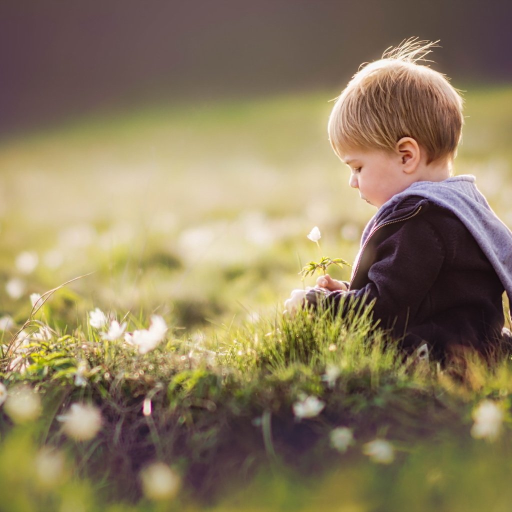 Обои цветы, трава, лето, дети, ребенок, мальчик, flowers, grass, summer, children, child, boy разрешение 1920x1280 Загрузить