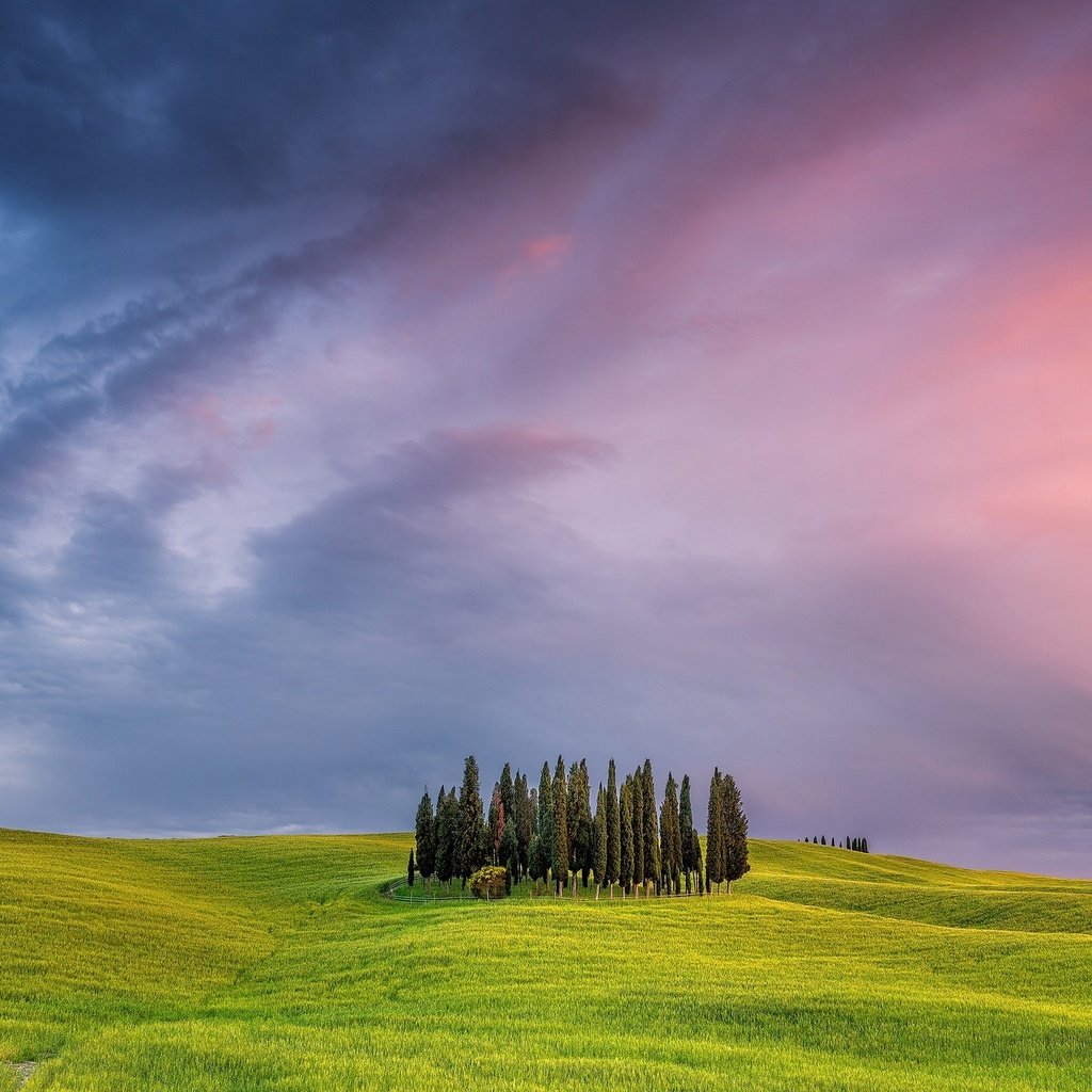 Обои трава, деревья, закат, поле, италия, тоскана, grass, trees, sunset, field, italy, tuscany разрешение 2000x1334 Загрузить