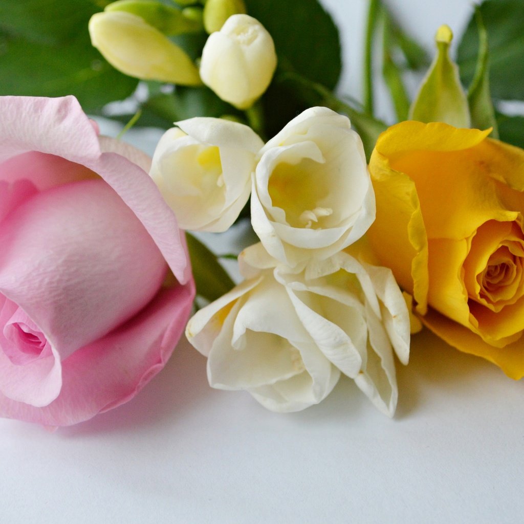 Обои цветы, розы, лепестки, бутон, букет, flowers, roses, petals, bud, bouquet разрешение 2048x1354 Загрузить