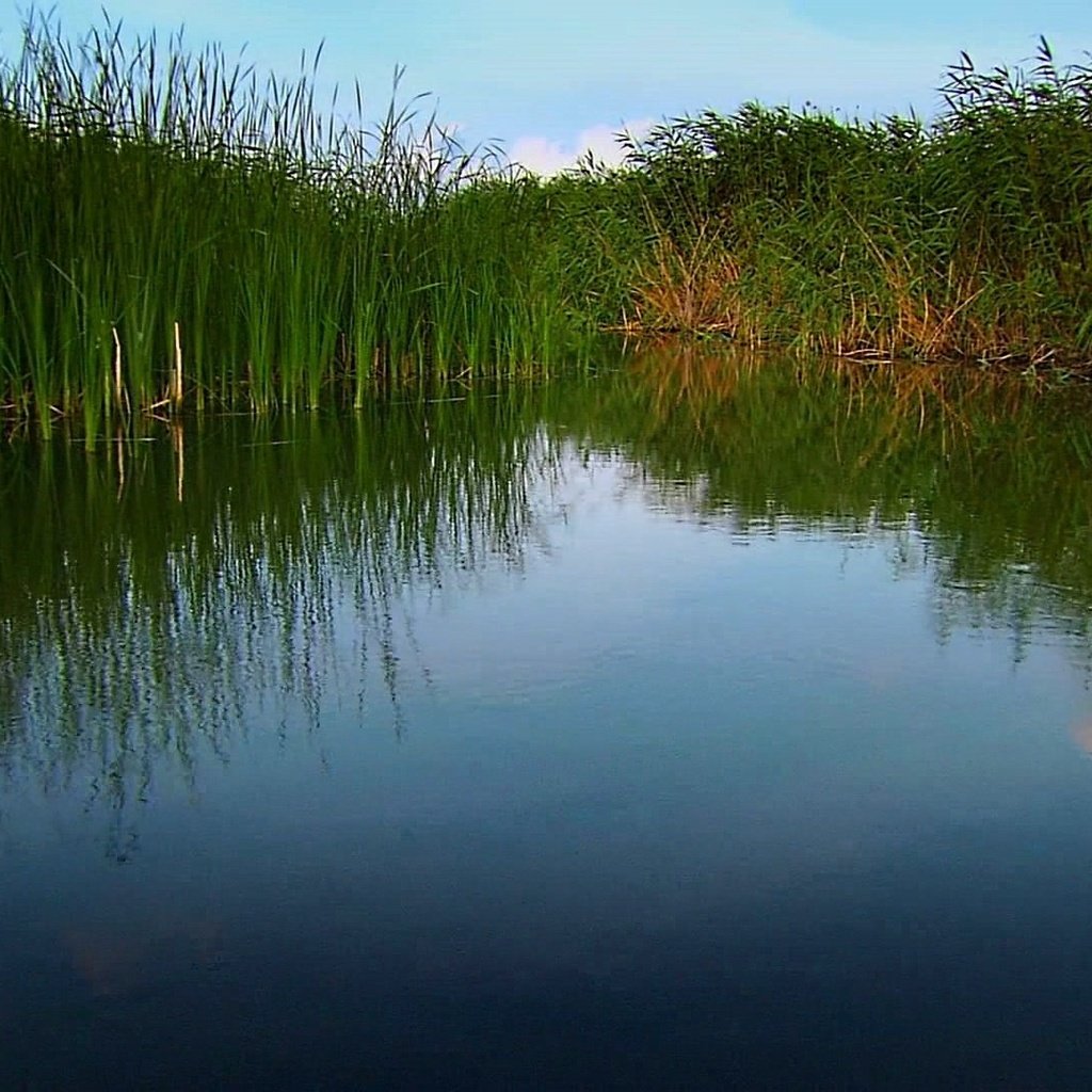 Обои вода, природа, water, nature разрешение 1920x1080 Загрузить