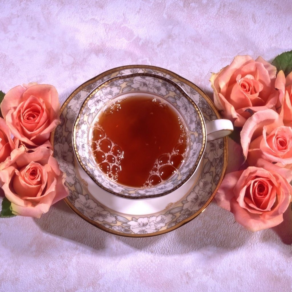 Обои цветы, розы, блюдце, чашка, чай, натюрморт, flowers, roses, saucer, cup, tea, still life разрешение 1920x1339 Загрузить