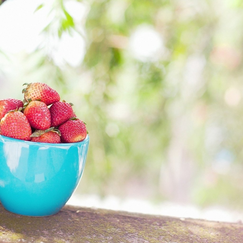 Обои листья, фон, клубника, размытость, ягоды, чашка, голубая, leaves, background, strawberry, blur, berries, cup, blue разрешение 1920x1275 Загрузить