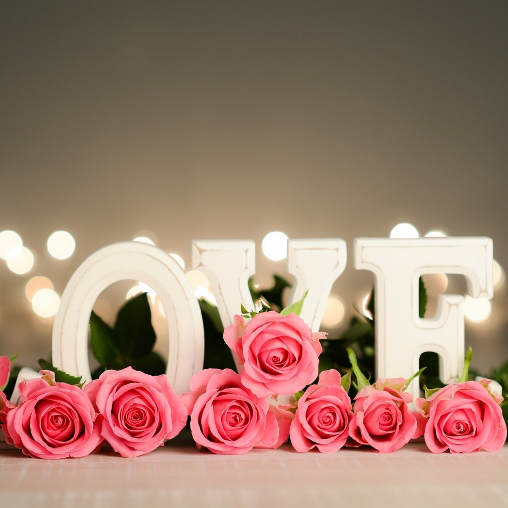 Обои цветы, розы, лепестки, любовь, день святого валентина, flowers, roses, petals, love, valentine's day разрешение 2880x1922 Загрузить