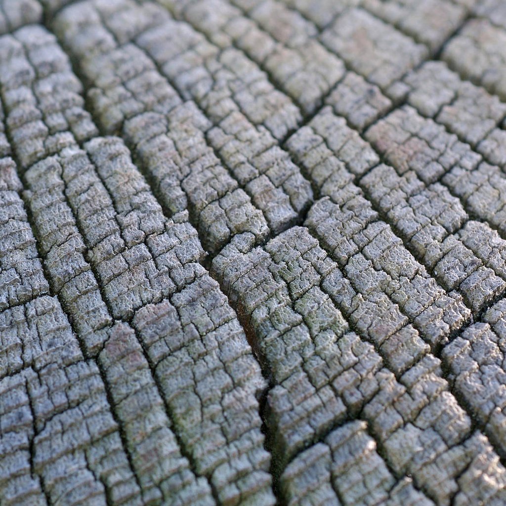 Обои дерево, текстура, макро, узор, древесина, пень, tree, texture, macro, pattern, wood, stump разрешение 1920x1200 Загрузить